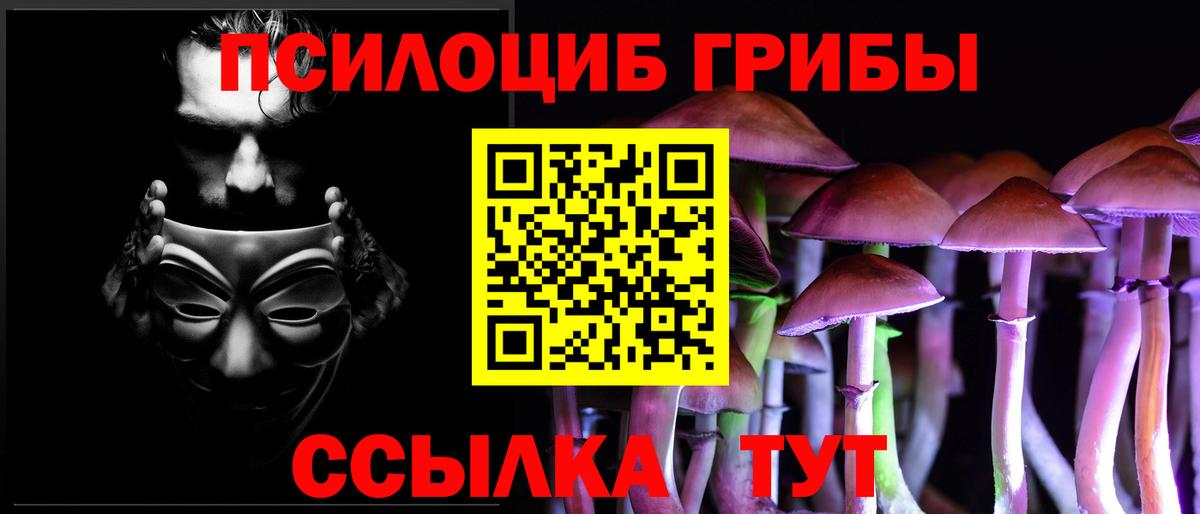 что такое наркотик  Вход с VPN  Рубцовск  Галлюциногенные грибы мицелий 
